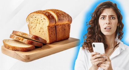 Fiiller: qué tan buena es la marca de pan integral, según la Profeco