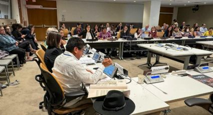 Destaca México en la ONU, compromiso para reconocer la medicina tradicional en el Sistema de Salud Público
