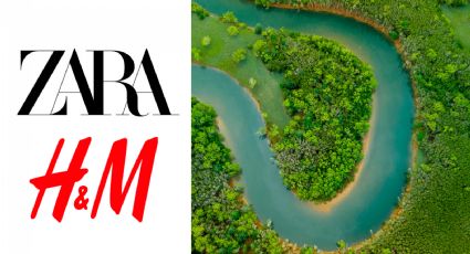 Zara y H&M son señaladas de comprar algodón de fincas brasileñas multadas por degradación ambiental