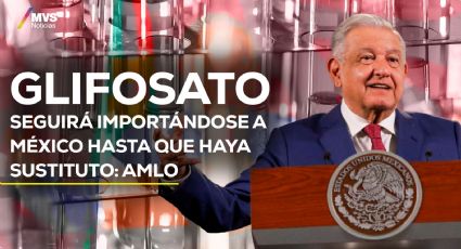 Glifosato seguirá importándose a México hasta que haya sustituto: AMLO