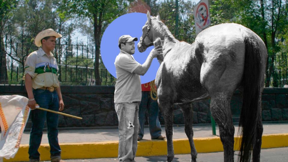 Caballos en Semana Santa.