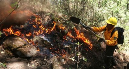 93 incendios activos en el país