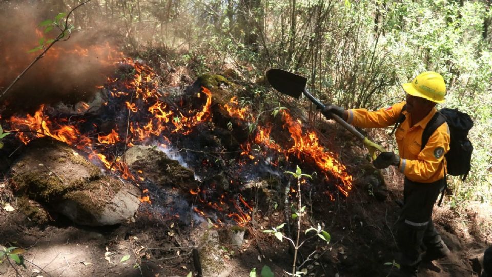 Incendio forestal en el estado de Morelos.