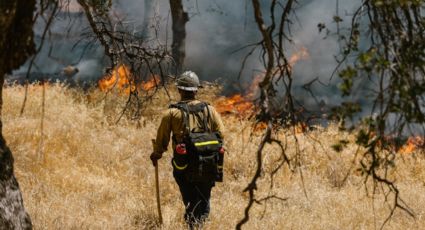 Incendios forestales pasan de 93 a 75 en un día