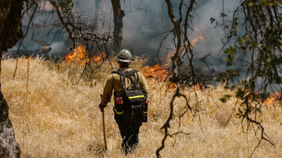 Incendios forestales pasan de 93 a 75 en un día