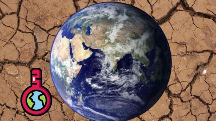 Día de la Tierra 2024: ¿Qué podemos hacer para combatir el Cambio Climático?