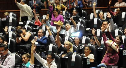 Asesores en la Cámara de Diputados alistan nueva protesta
