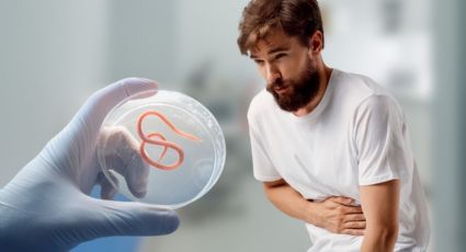 IMSS advierte sobre enfermedades causadas por parásitos; ¿Cómo puedo prevenirlos?