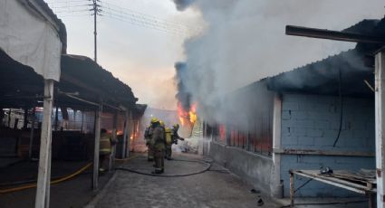 Incendio del Mercado Campesino moviliza a bomberos en Monterrey