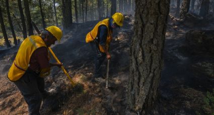 Más de 100 incendios forestales asolan 18 estados del país
