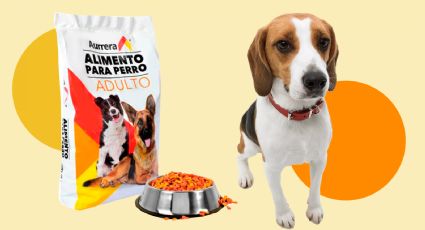 Profeco: Qué tan buena es la marca de croquetas para perro marca Aurrera