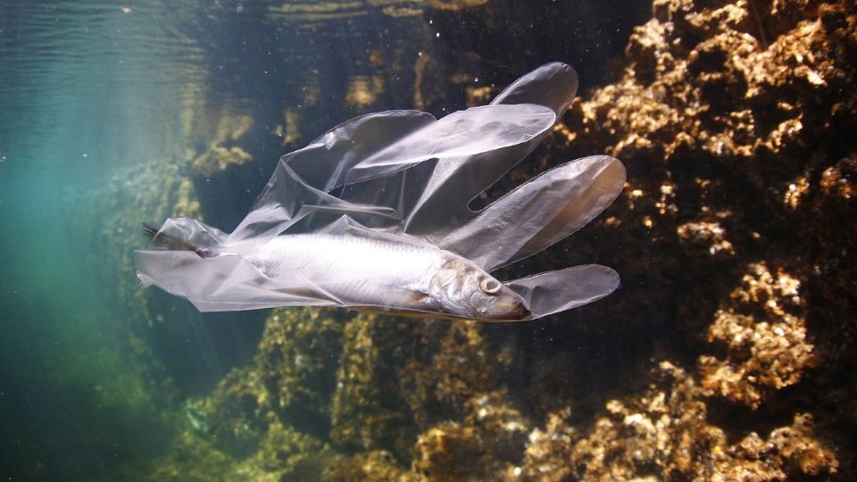 El fondo del océano ya es un depósito de basura plástica.