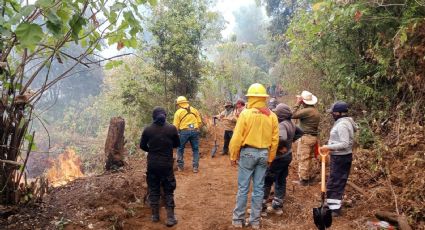 Gobierno del Edomex y Gobierno Federal han abatido más de 600 incendios forestales en la entidad