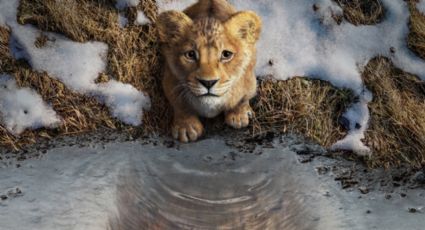 Ya hay tráiler de Mufasa: El Rey León, míralo aquí