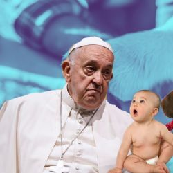 Papa Francisco advierte sobre baja tasa de natalidad: ‘No faltan perros y gatos, faltan hijos’