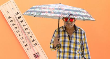Clima en CDMX: Protección Civil pronostica intenso calor
