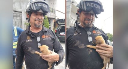 Protección Civil rescata a cachorro atrapado en tubería de drenaje en Monterrey