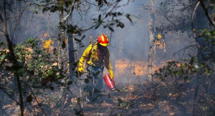 Conafor reporta cerca de 200 incendios activos en el país