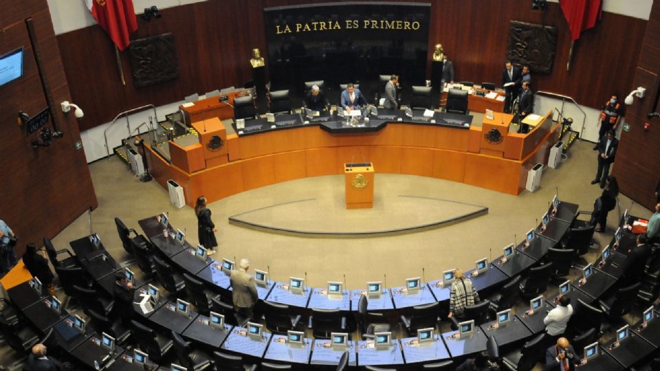 Senadores del PT proponen licencia remunerada de 4 días para mujeres que presenten dolor menstrual