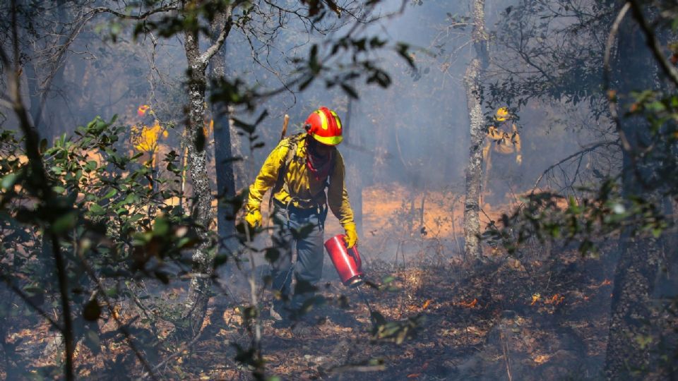 Incendios forestales asolan 24 estados del país