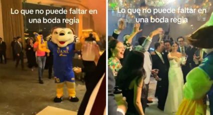 Botarga de Tigres se roba el show en Boda Regia | VIDEO