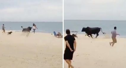 Toro embiste a turista en Los Cabos