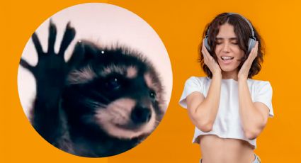 'Pedro, Pedro, Pedro': Ella es la cantante italiana que inspiró al video viral del mapache bailando