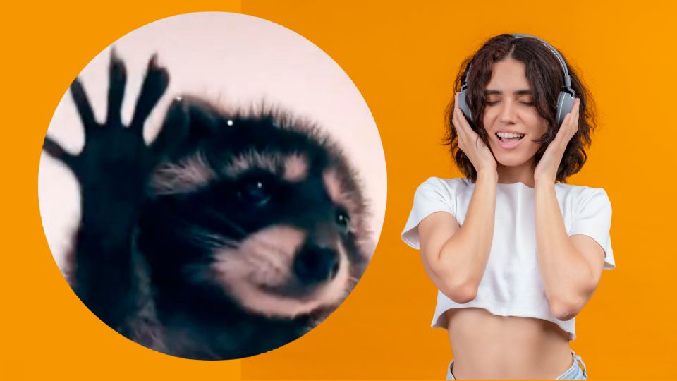 'Pedro, Pedro, Pedro': Ella es la cantante italiana que inspiró al video viral del mapache bailando