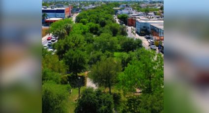 Carlos de la Fuente va por bosques urbanos en el área metropolitana