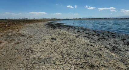 Acceso a la información en materia de calidad del agua, destacan en San Lázaro