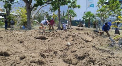 Inicia reforestación del Parque Papagayo, después del paso del huracán Otis