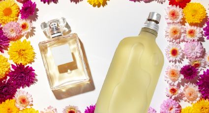 Liverpool: 5 perfumes para mujer con 40% de descuento en línea