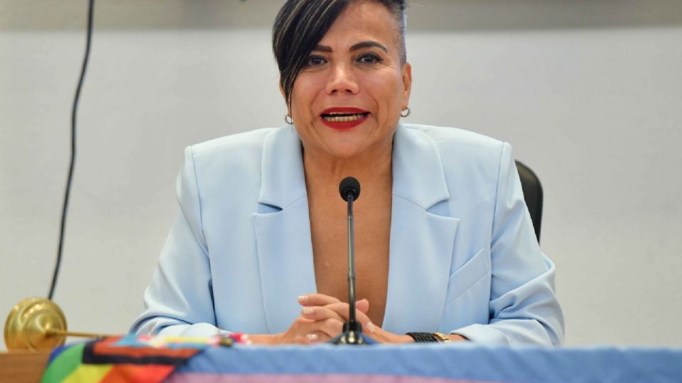 Salma Luevano, diputada de Morena.