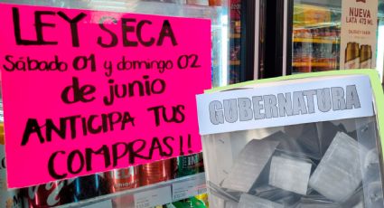 'Más de 300 mil comercios ofrecen recompensas a quienes salgan a votar': Dr. Octavio de la Torre