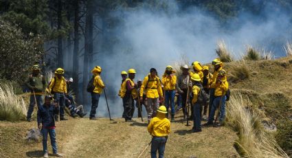 Concluye la primera semana de mayo con cerca de 150 incendios forestales