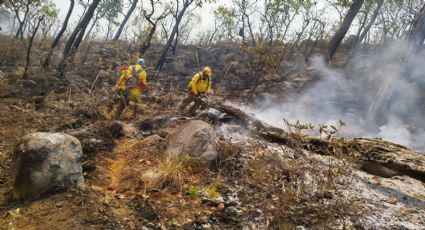 Envía Edomex a 154 brigadistas para combatir incendios en Valle de Bravo
