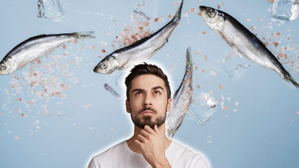 Irán es sorprendido por una tormenta de peces.