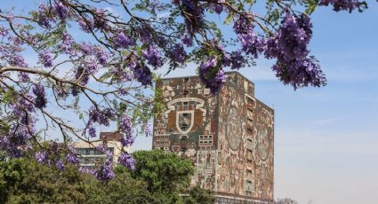 UNAM lamenta deceso de joven en las inmediaciones del CCH Naucalpan