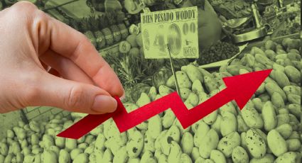 INEGI: inflación se ubica en 5.57 % en julio; ¿qué productos subieron de precio?