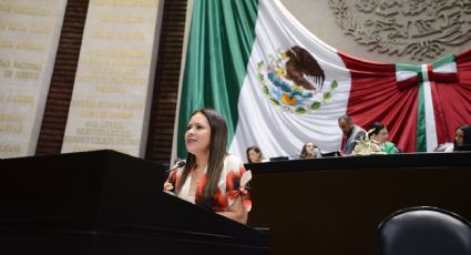 Advierte Karen Castrejón a Noroña que no permitirá difame a gobernador de SLP