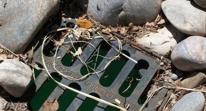 Ponen a consulta designar presa contaminada como área de restauración ecológica