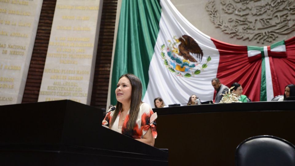 Karen Castrejón, lideresa nacional del PVEM.