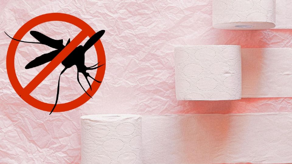 Mosquitos: ¿De qué se trata el truco de papel de baño para repeler a estos insectos?