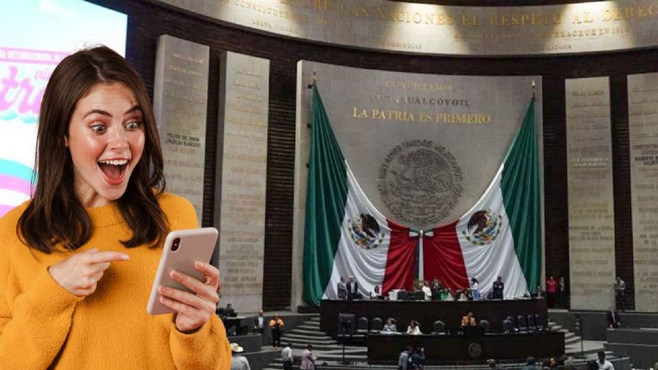 El INE deberá participar en la creación de la app.