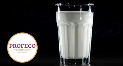 PROFECO revela cuál es la mejor leche entera de marcas mexicanas