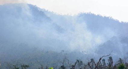 Baja drástica de incendios forestales reportan autoridades