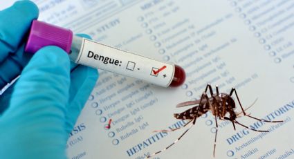 Registra Nuevo León primera muerte por Dengue, era un menor de edad