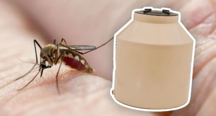 Ante las lluvias conoce estas recomendaciones para mantener limpio el tinaco y prevenir el dengue