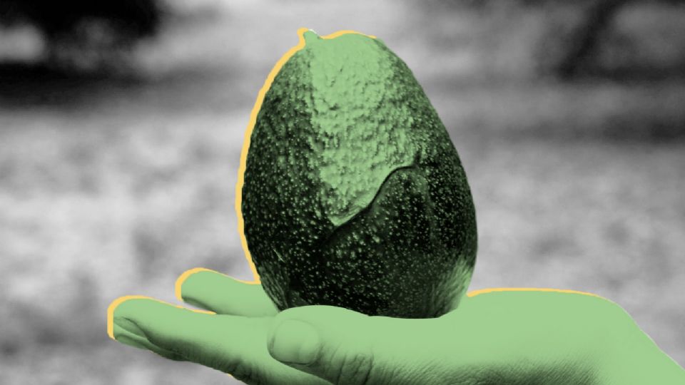 ¿Qué pasa en Michoacán con el aguacate?