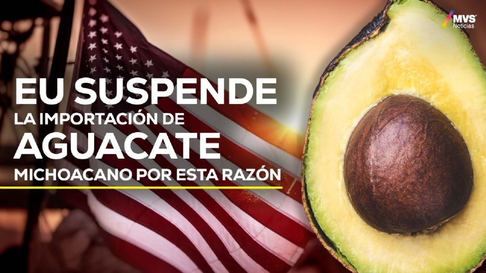 ¿Qué pasará con el aguacate michoacano?